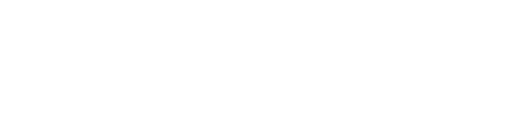 alpah lee fitness logo